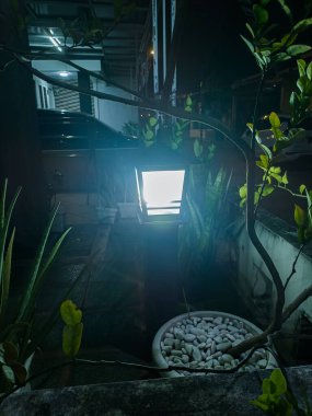 illumination backyard light garden with electric ground lantern with box diffuser lamp with garland of light bulbs on a tree branch with leaves with landscaping, dark illuminate night scene nobody.