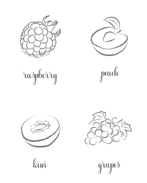 Hand draw frutis, set. Raspberry, Peach, Kiwi, Grapes.