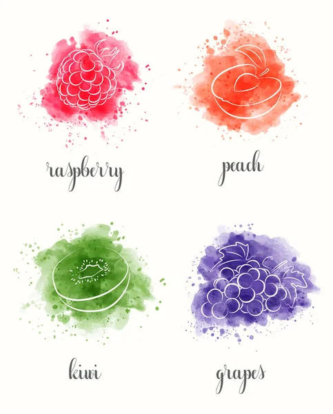 Watercolor fruits, set. Raspberry, Peach, Kiwi, Grapes.
