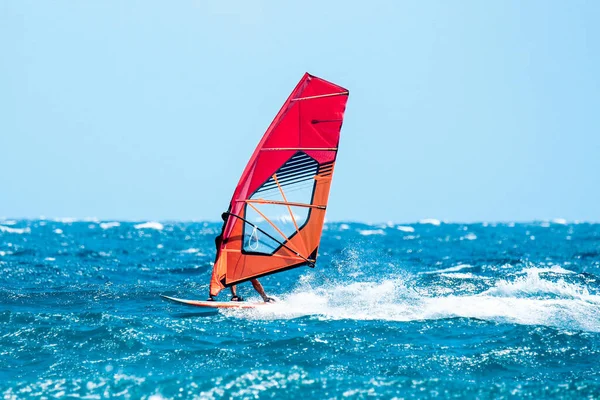 Rüzgar sörfçüleri güneşli bir yaz gününde dalgalarda sörf yaparken eğlenirler.