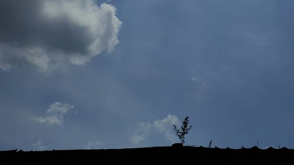 Wunderschöne Landschaft Mit Einem Baum Und Blauem Himmel — Stockfoto