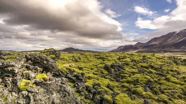 Лавовые Поля Простирающиеся Вдоль Гор Севере Исландии — стоковое фото