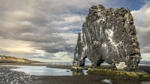 Stone Giant Hvtserkur North Iceland — Stock Photo, Image