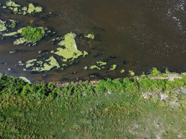Nehir manzarası, yeşil nehir kıyısı