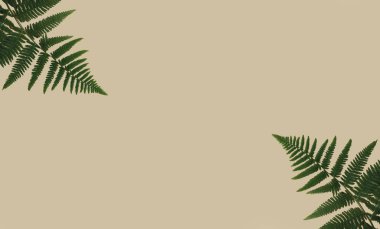 Minimalt top view of green leaves on beige color background. Flat lay. Natural concept.