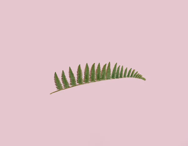 Forest treeline mado of leaves on pink background. Flat lay. Minimal natural concept.
