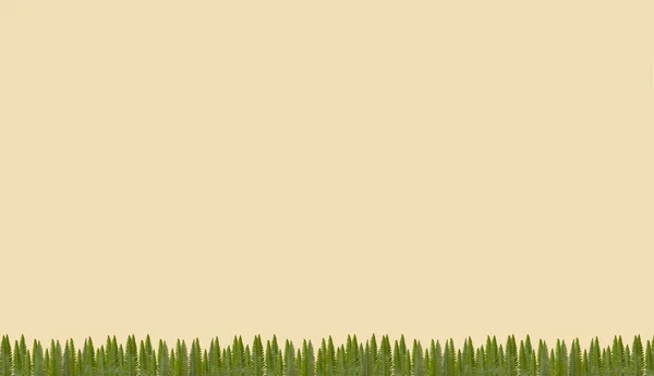 Beautiful concept of green branches and leaves. Flat lay, natural, minimal composition.