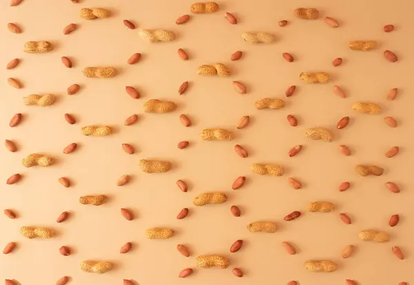 Bej arka planda yer fıstığı deseni. Düz yatıyordu. Asgari konsept.