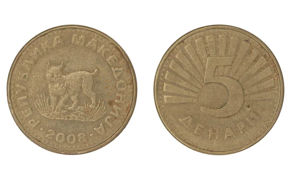 分離白の背景に両側と5マケドニアデナール Mkd コイン — ストック写真