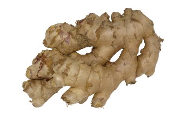Beyaz zemin üzerinde tamamen taze zencefil kökü veya rhizome (Zingiber officinale) yüksek açısı izole