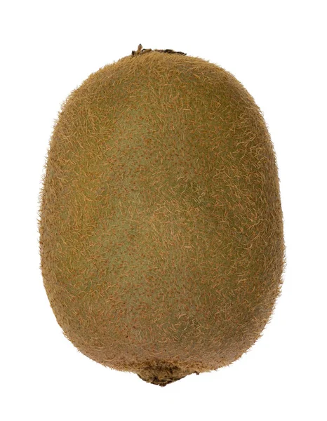 Gehele Realistische Kiwifruit Actinidia Deliciosa Chinese Kruisbes Geïsoleerd Witte Achtergrond — Stockfoto