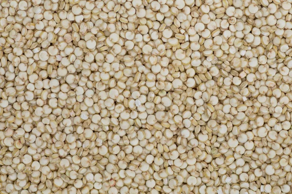 High angle full-frame photo of wholegrain quinoa grains making pattern for background, wallpaper.