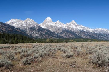 Mountains in late summer (Yellowstone National Park)