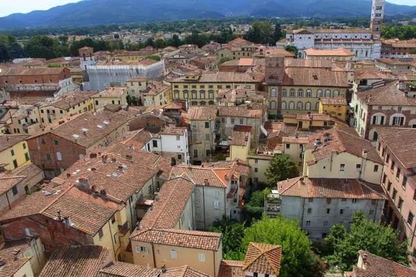 İtalya 'nın Lucca şehrinin hava manzarası. Toskana şehri Lucca 'nın çatılarının manzarası