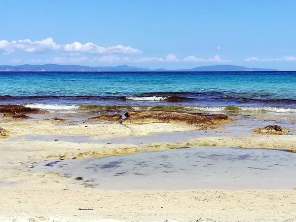 Elba island beautiful seascape. beach. nature, travel