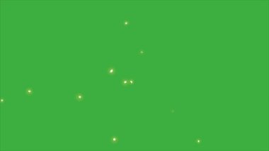 Hafif bulanık bir ateş böceğinin yeşil ekran arkaplanı, kullandığınız video düzenleme yazılımındaki yeşil arkaplanı kaldırmanız yeterli.