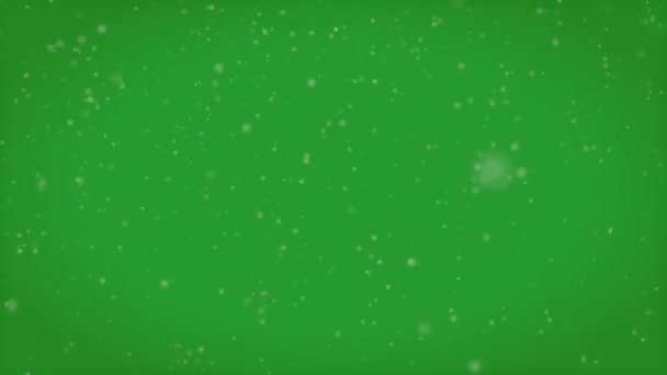 Snow Vídeo Tela Verde Pode Ser Usado Para Suas Imagens — Vídeo de Stock