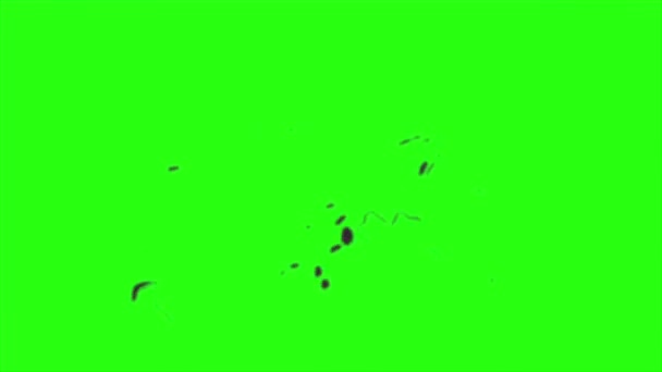 Animatie Exploison Vuur Met Bewegingsvervaging Groene Achtergrond Scherm — Stockvideo