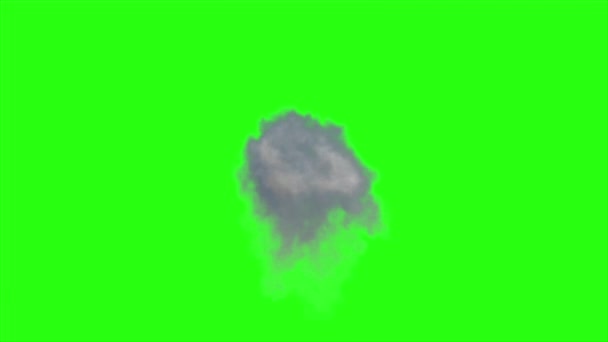 Animation Πραγματική Φωτιά Exploison Θαμπάδα Κίνηση Πράσινο Φόντο Οθόνη — Αρχείο Βίντεο