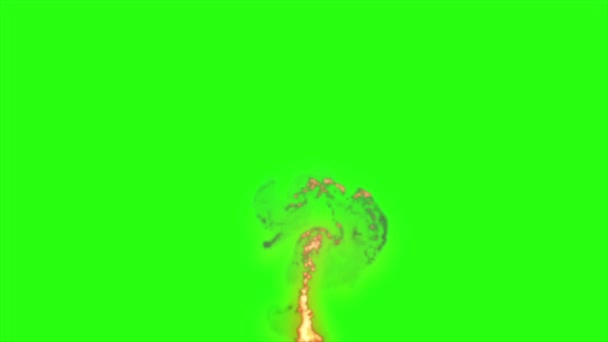 Animación Fuego Real Con Desenfoque Movimiento Sobre Fondo Pantalla Verde — Vídeo de stock