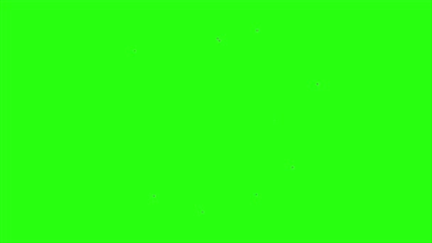 Bucle Humo Animación Fondo Pantalla Verde — Vídeo de stock