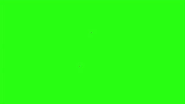 Course d'animation en boucle sur fond d'écran vert