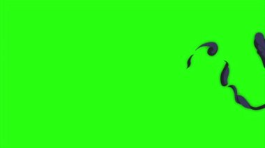 Yeşil ekran arkaplanındaki döngü canlandırma efekti patlaması, duman çekimlerini yandan sömürme - tam çerçeve etkisi