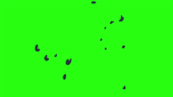 Boucle animation effet exploison sur fond d'écran vert, exploison forte flash blanc - effet fumée