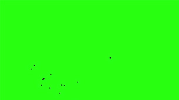 緑の画面の背景にループアニメーション効果の爆発 爆発ラウンドフラッシュ煙フェード効果 — ストック動画