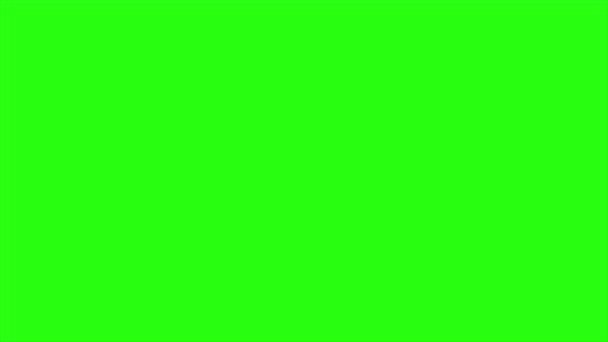 Цикл Анимации Электрические Молнии Зеленом Фоне Экрана Молния Одного Удара — стоковое видео