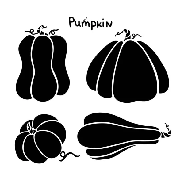 Pumpkin Icon Vector Autumn Halloween Thanksgiving Pumpkin Symbol Flat Design — Stockvektor