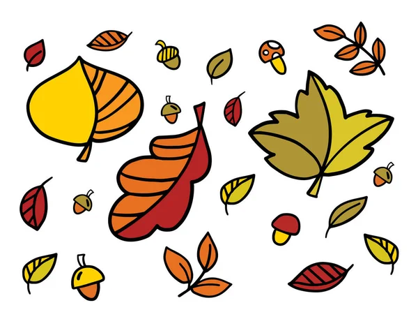 Vektorsatz Von Herbstblättern Vektorillustrationen — Stockvektor