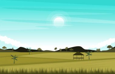 Kulübe Asyalı Paddy Rice Tarlası Tarım Doğa Görünümü