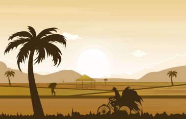 Gündoğumu Asyalı Çiftçi Paddy Rice Tarla Tarım Doğası İllüstrasyonu