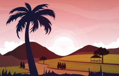 Sunrise Asian Paddy Rice Tarlası Tarım Doğa Görünümü