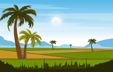 Güzel Asyalı Paddy Rice Tarlası Tarım Doğa Görünümü