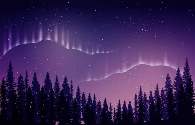 Güzel Aurora Borealis Gökyüzü Çam Ağacı Kutup Resimleri
