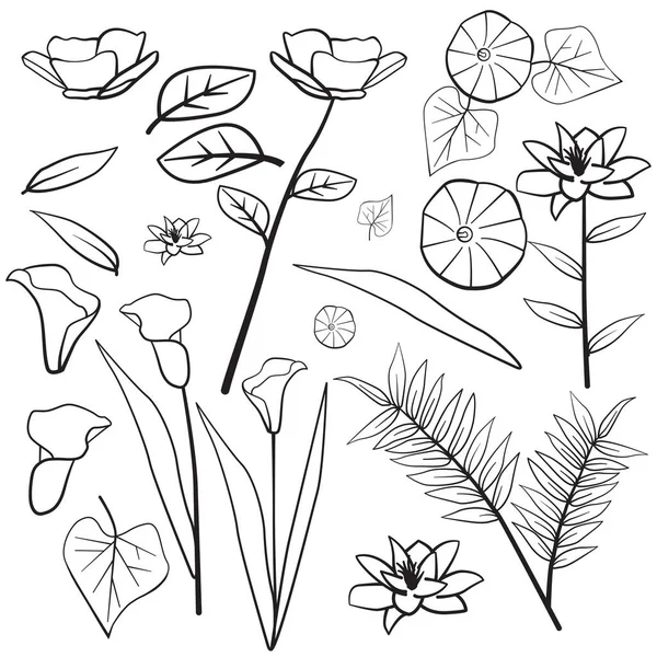 Daust Buttercup Arum Lily Morning Glory Leaf Bloem Silhouet Contouren — Stockvector