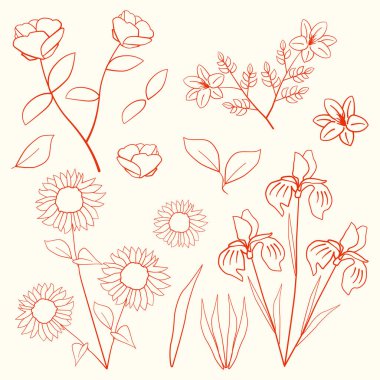 Düğünçiçeği Ayçiçeği Hibiscus Çiçek Yaprak Yaprağı Özet Elementi