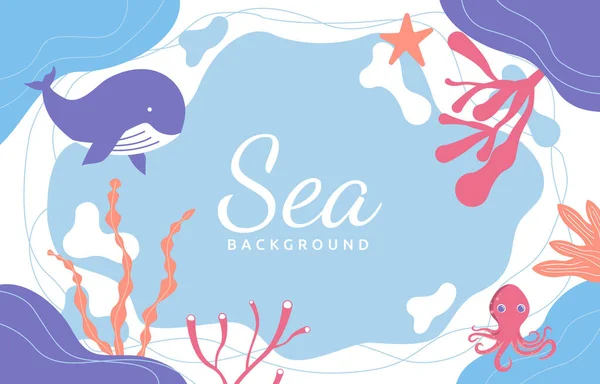 Ocean Underwater Animal Wildlife Sea Beach Liquid Background