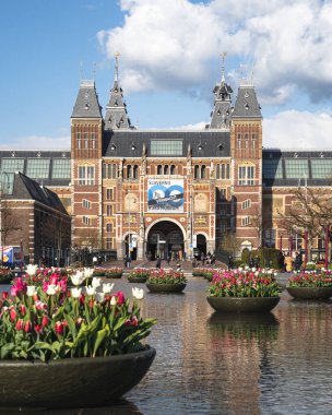 Hollanda 'da lale çiçekli Rijksmuseum Amsterdam' da. Yüksek kalite fotoğraf