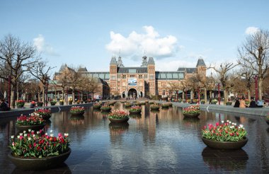 Hollanda 'da lale çiçekli Rijksmuseum Amsterdam' da. Yüksek kalite fotoğraf