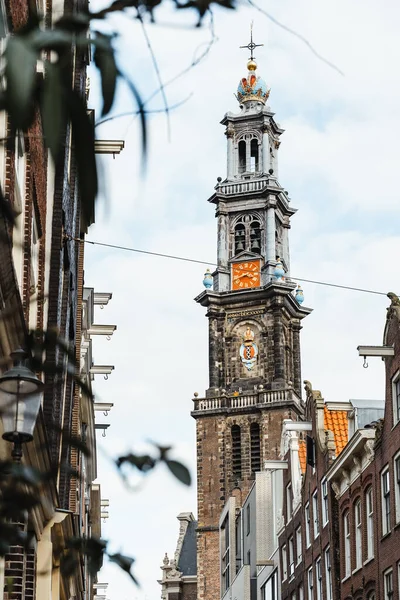 Westerkerk Amsterdam Con Luce Dorata Olanda Olanda Foto Alta Qualità — Foto Stock