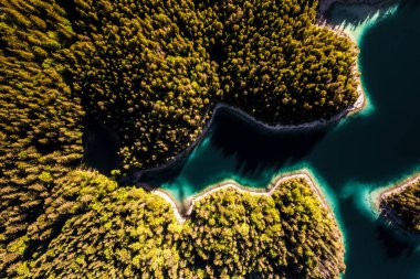 Eibsee 'nin Bavyera, Almanya' daki insansız hava aracı resmi. Yüksek kalite fotoğraf