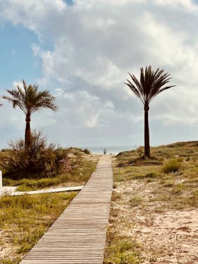 Sahilde ahşap tahta