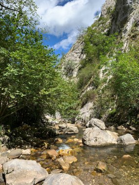 Dağlardaki güzel dağ nehri