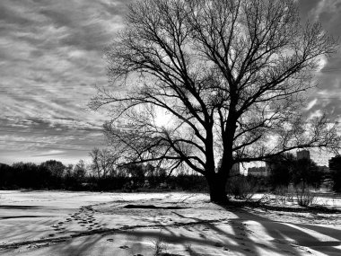 Parkın güzel manzarası