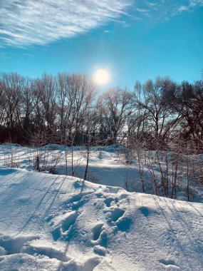 Kar ve ağaçlarla kaplı kış manzarası