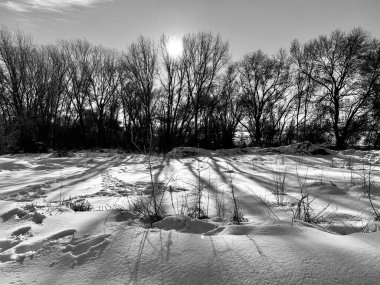 Kar ve ağaçlarla kaplı kış manzarası