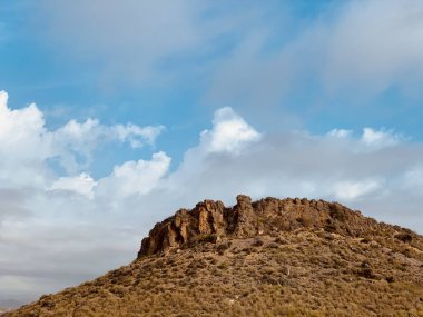 Cabarceno 'da Suricato sentado